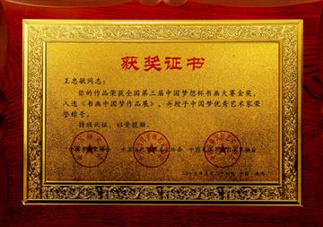 “梦想杯”金奖