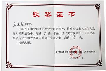 “文艺复兴杯”金奖